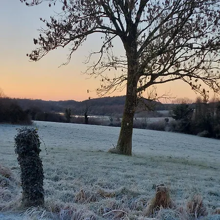 Castleview 1 * Cavan