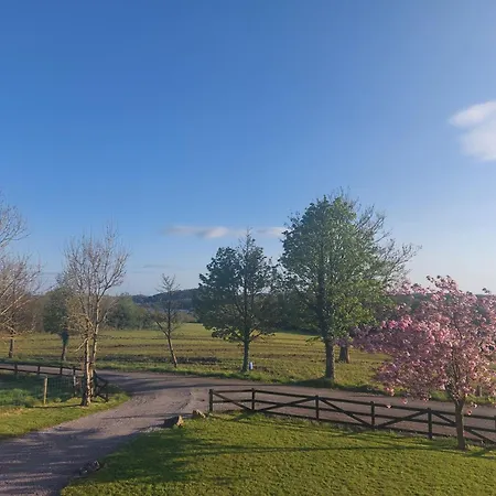 Castleview 1 Cavan