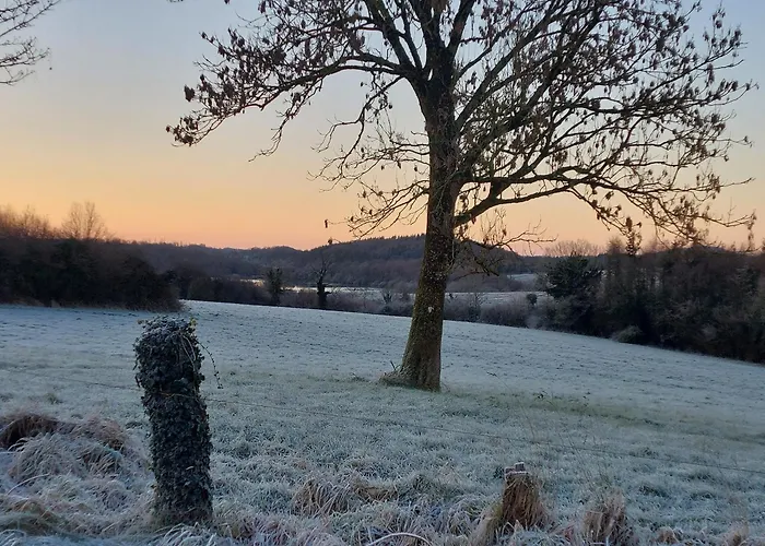 Castleview 1 * Cavan